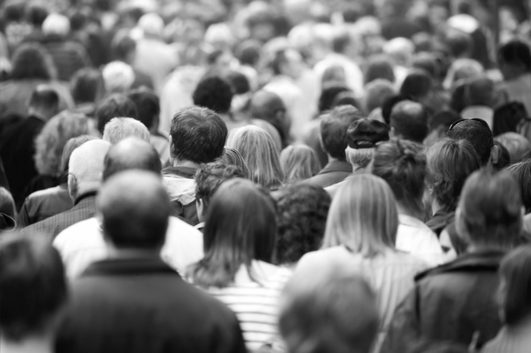 Multitud